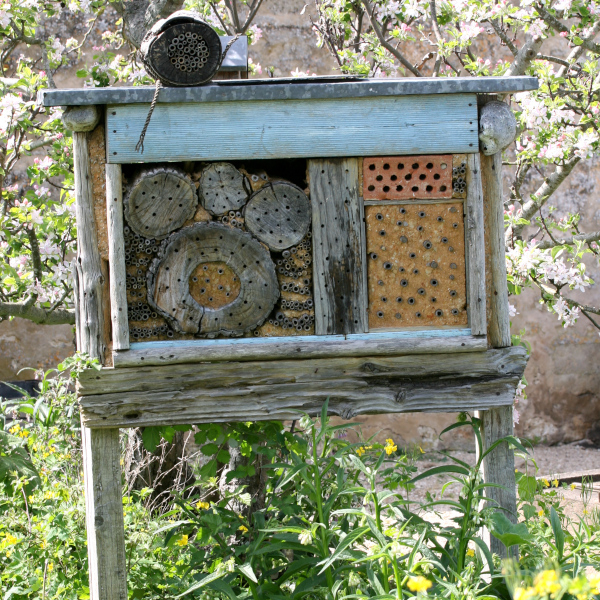 Hôtel à insectes du Potager du Roy © Nicolas Macaire